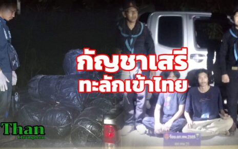 กัญชาเสรีทะลักเข้าไทย