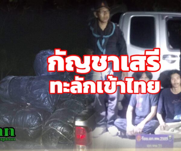 กัญชาเสรีทะลักเข้าไทย