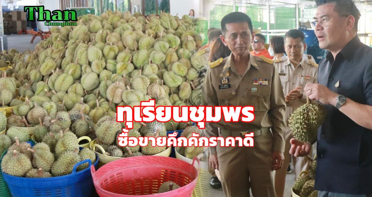 ทุเรียนชุมพร