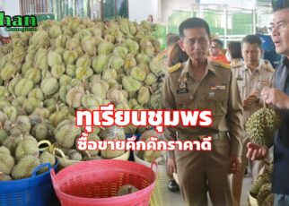 ทุเรียนชุมพร