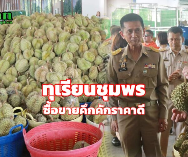 ทุเรียนชุมพร