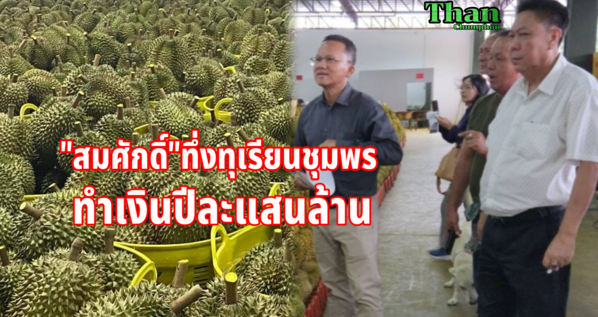 ทึ่งทุเรียนชุมพรทำเงินปีละแสนล้าน