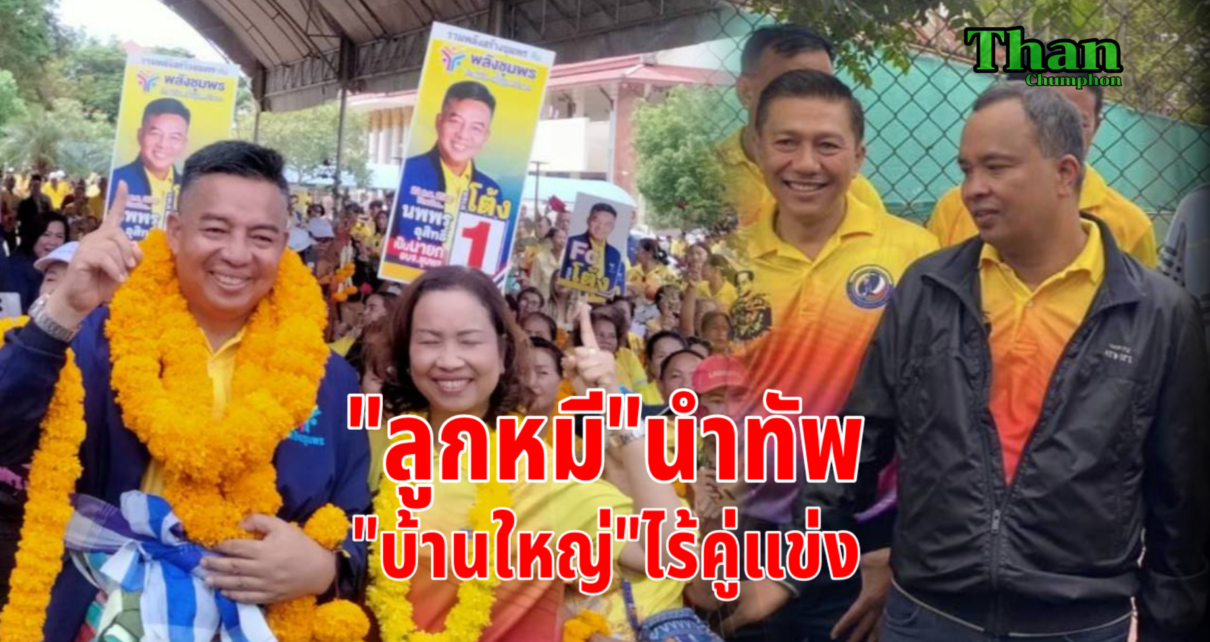 ลูกหมีนำทีมบ้านใหญ่ไร้คู่แข่ง