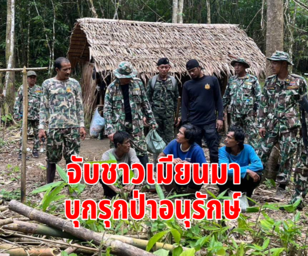 จับชาวเมียนมากรุกป่า